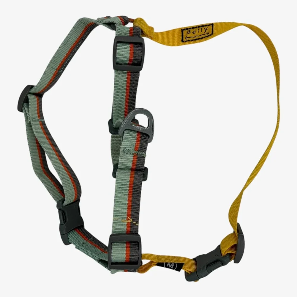 OllyDog Essential Dog Harness Surf Green Orange Yellow Size Medium
